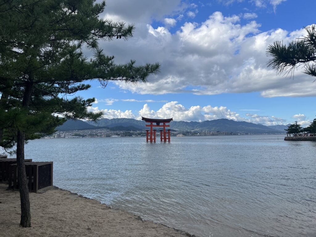 カレーパン食べながらの景色が最高