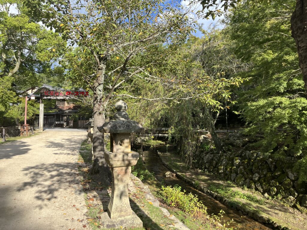 紅葉谷公園へと続く道