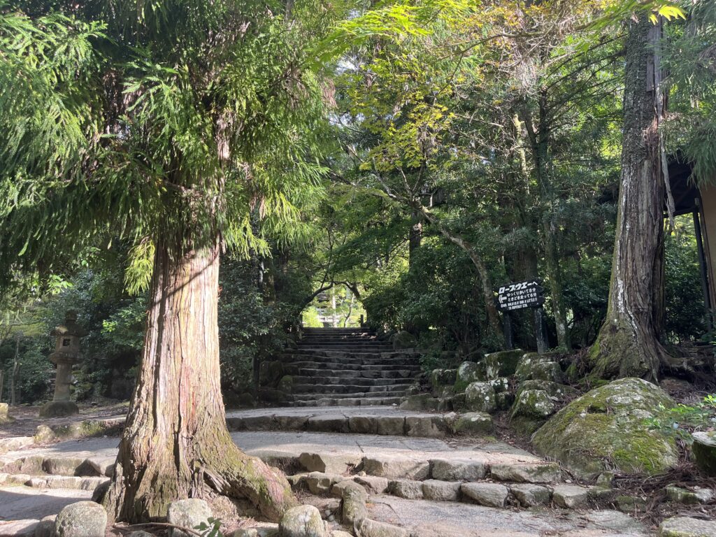 原始林の残るもみじ谷